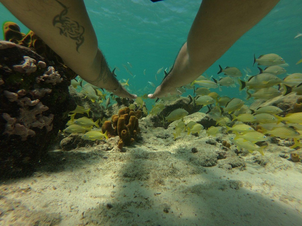 Aruba: Snorkel Cruise with Open Bar and Light Lunch