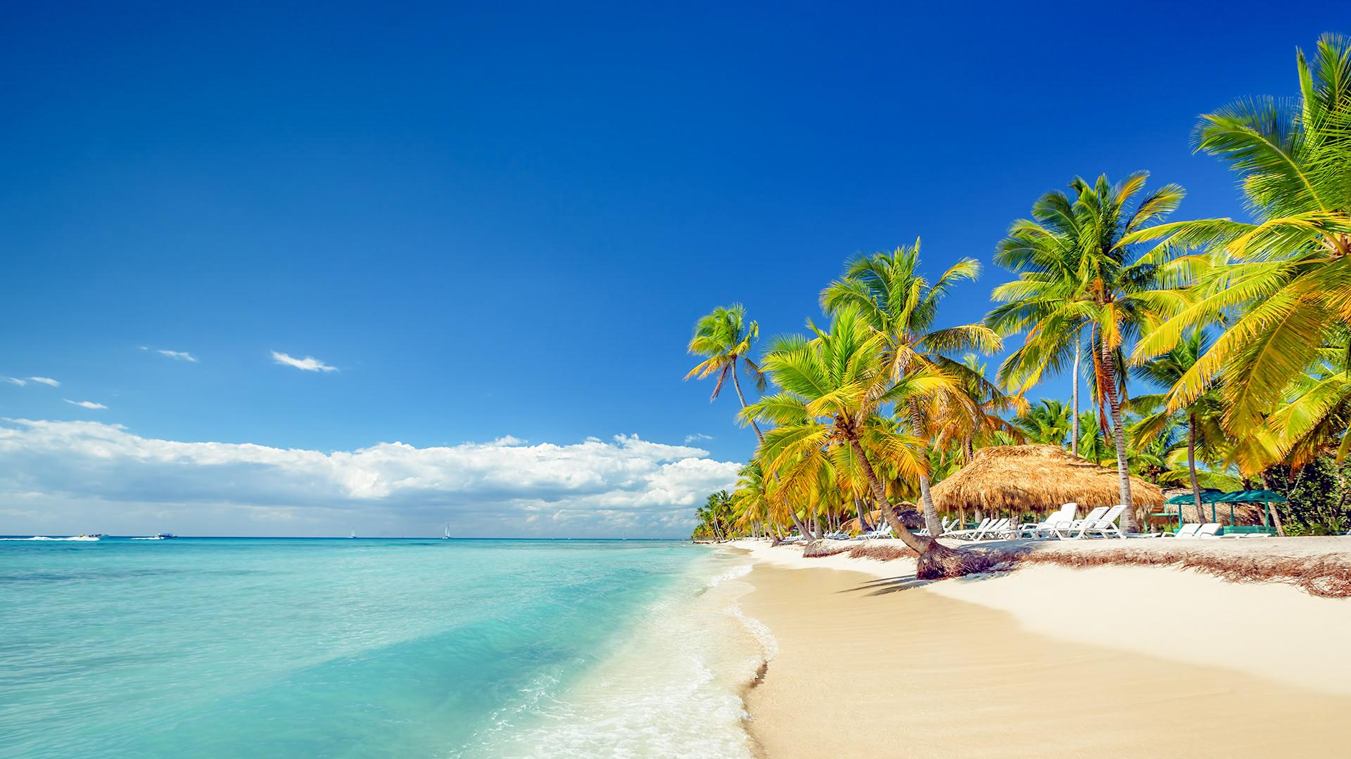 Bayahibe: Full-Day Saona Island Excursion