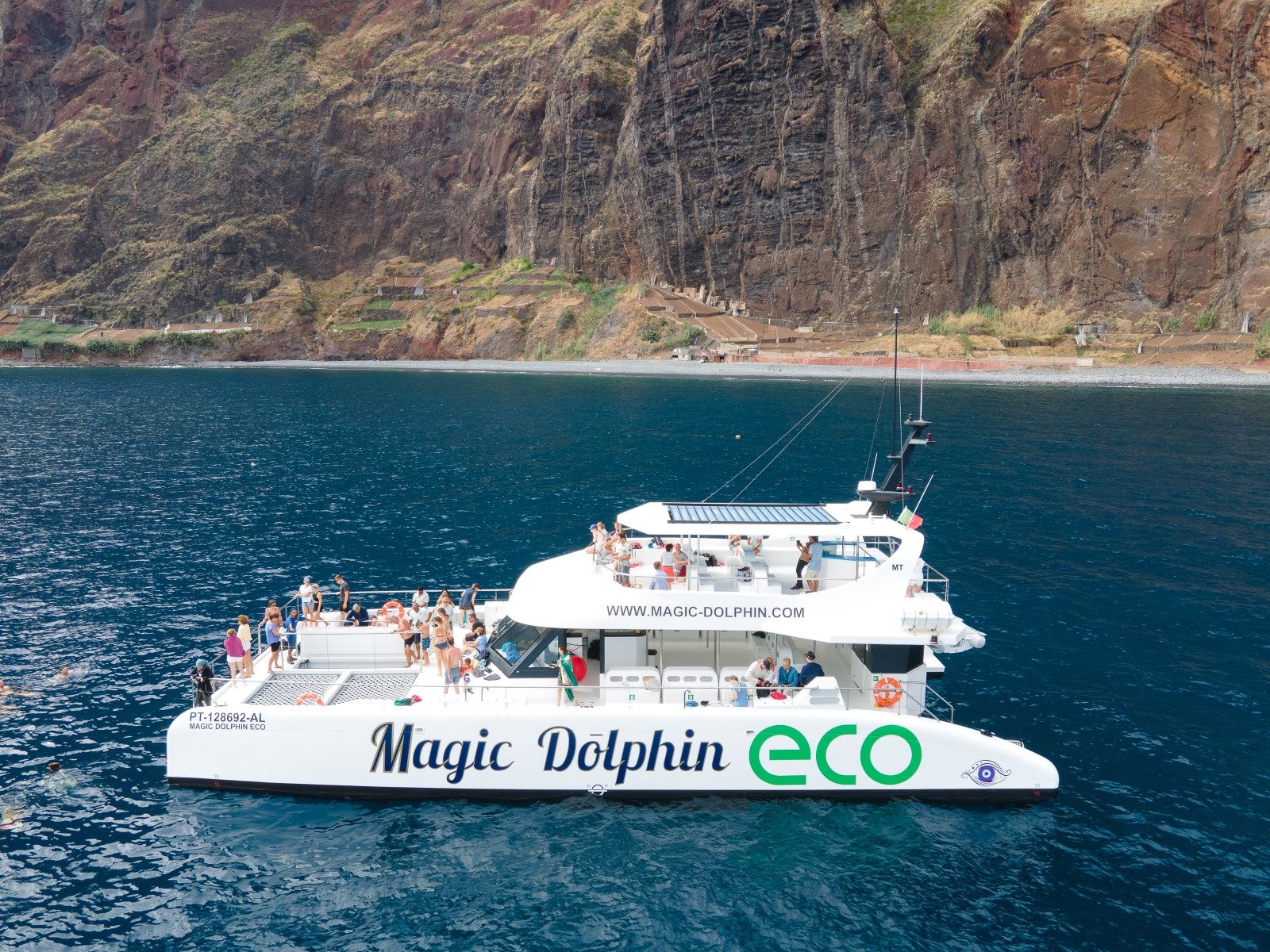 From Funchal: Ecological Catamaran Dolphin Whale Watching