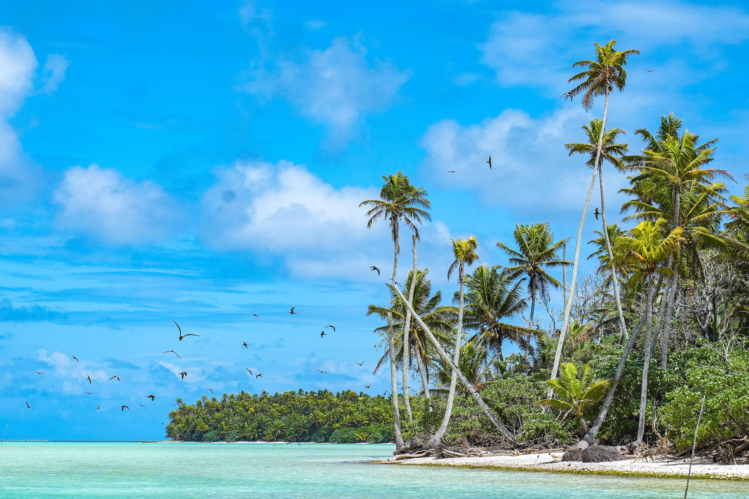 From Tahiti: Tetiaroa Island Tour by Sailing Catamaran