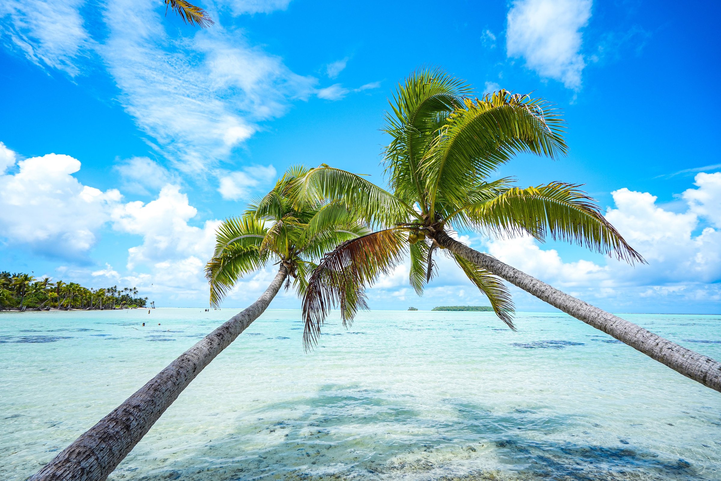 From Tahiti: Tetiaroa Island Tour by Sailing Catamaran