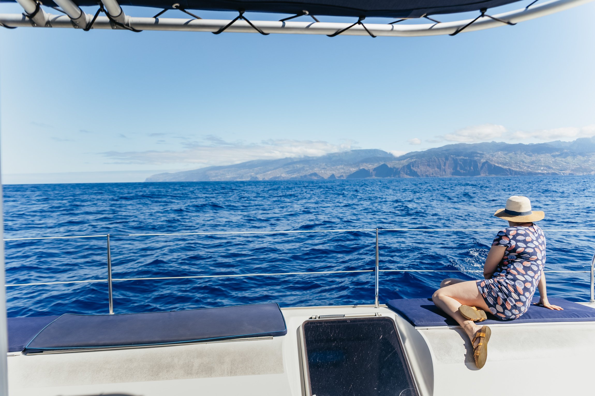 Funchal: Dolphin and Whale Watching Catamaran Cruise