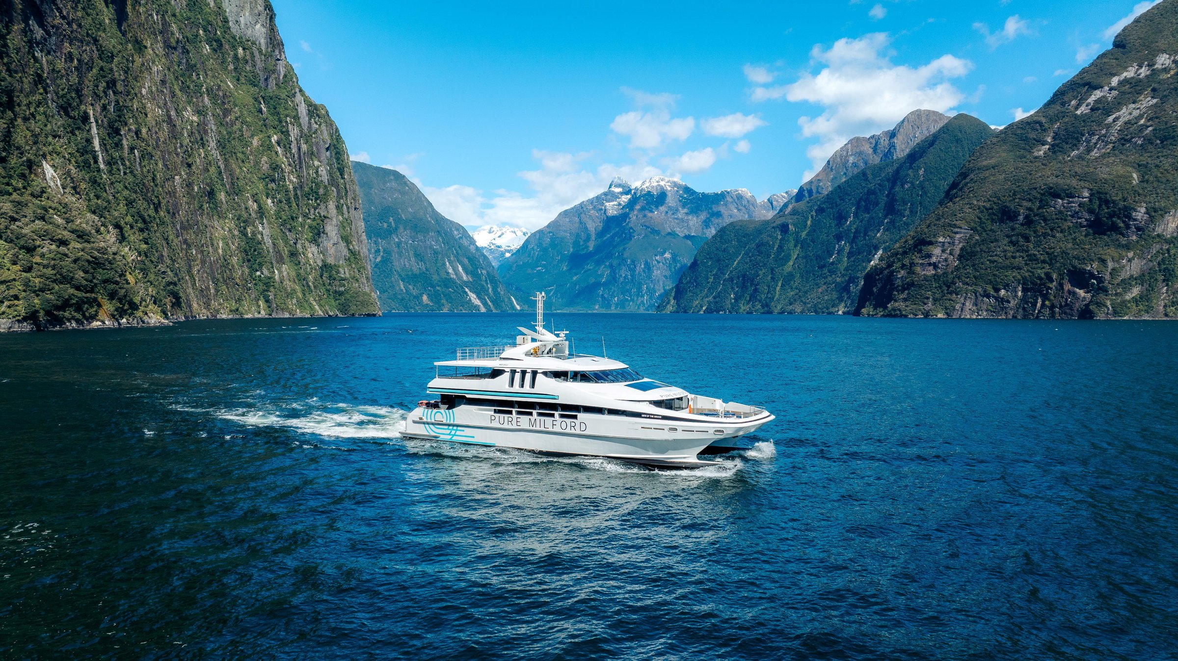 Milford Sound: Nature Cruise on a Modern Catamaran