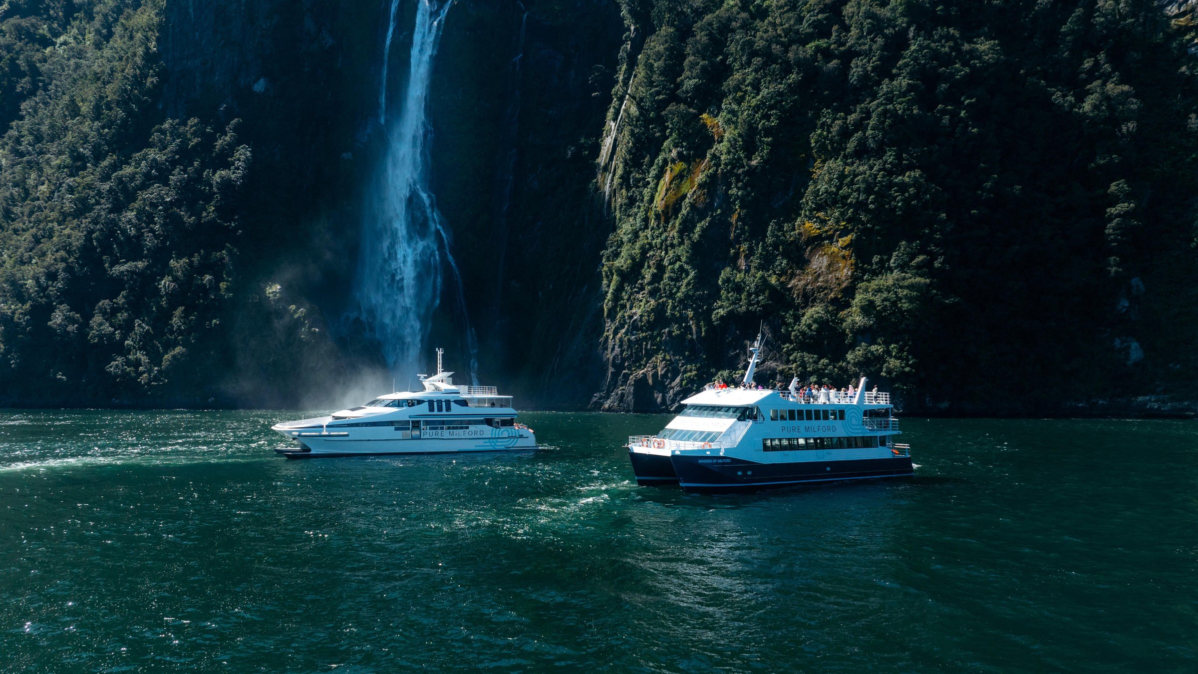 Milford Sound: Nature Cruise on a Modern Catamaran