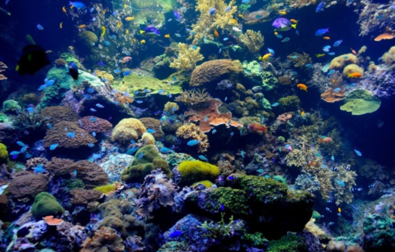 Nassau: Catamaran Sail and Snorkel Tour